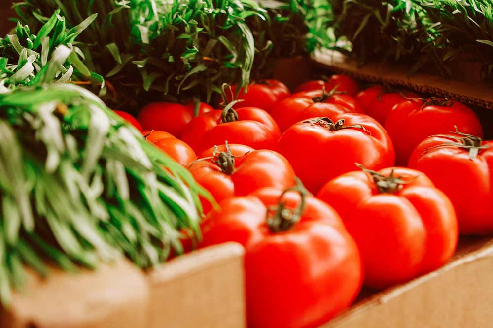 tomato.jpg